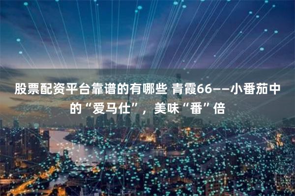 股票配资平台靠谱的有哪些 青霞66——小番茄中的“爱马仕”，美味“番”倍