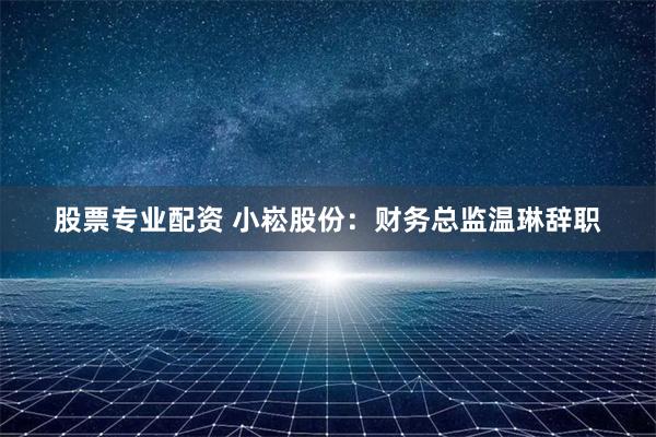 股票专业配资 小崧股份：财务总监温琳辞职