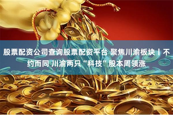 股票配资公司查询股票配资平台 聚焦川渝板块丨不约而同 川渝两只“科技”股本周领涨