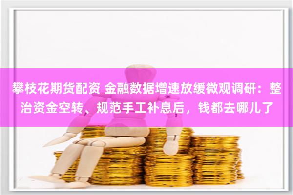 攀枝花期货配资 金融数据增速放缓微观调研：整治资金空转、规范手工补息后，钱都去哪儿了