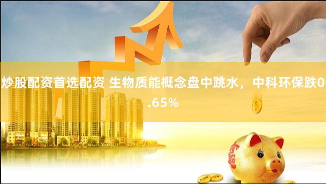 炒股配资首选配资 生物质能概念盘中跳水，中科环保跌0.65%