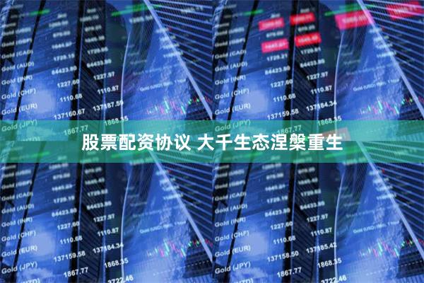 股票配资协议 大千生态涅槃重生
