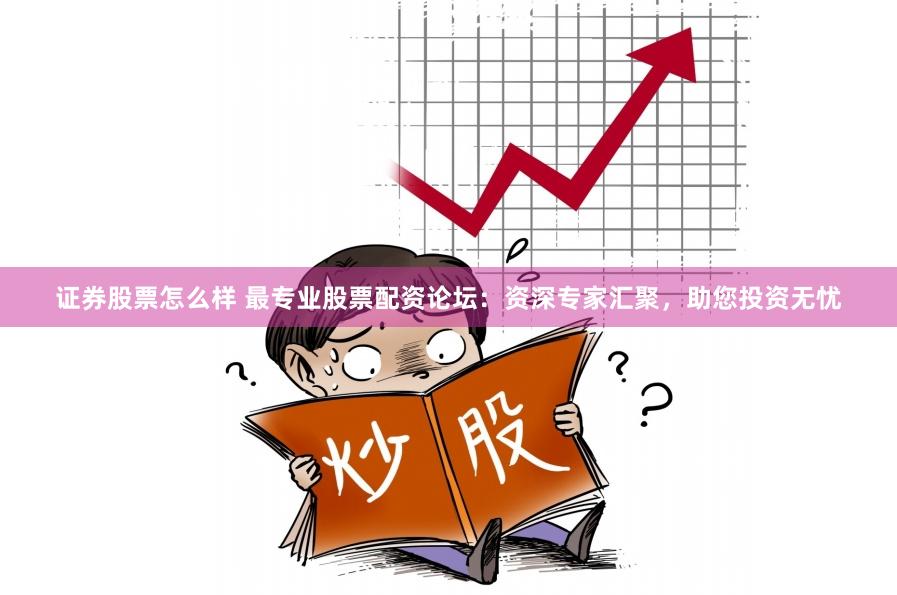 证券股票怎么样 最专业股票配资论坛：资深专家汇聚，助您投资无忧