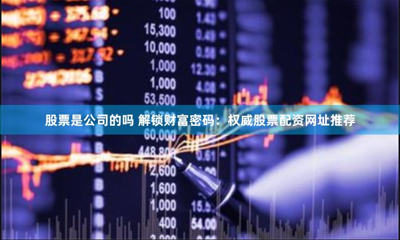 股票是公司的吗 解锁财富密码：权威股票配资网址推荐