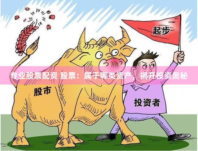 专业股票配资 股票：属于哪类资产，揭开投资奥秘